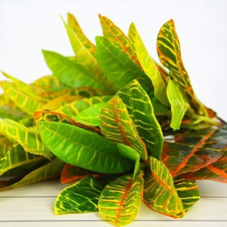 Planta Artificial - Croton | Terrário | Répteis