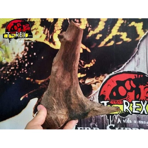 Tronco Natural 01