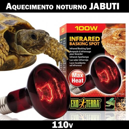 Lâmpada Jabuti