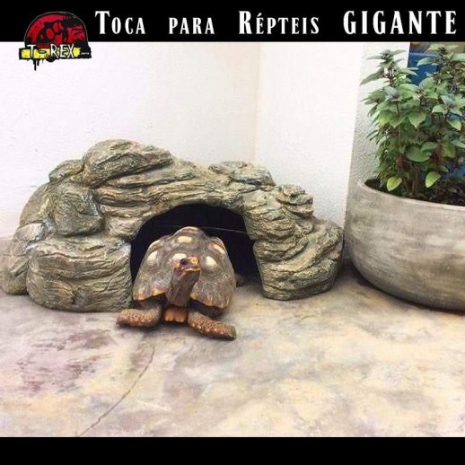casinha para jabuti