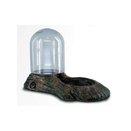 Repti Reservoir Dophin