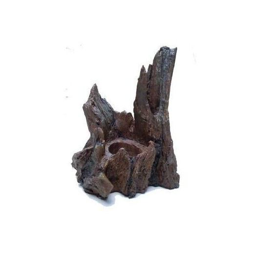 Worm Dish (Segura larvas)