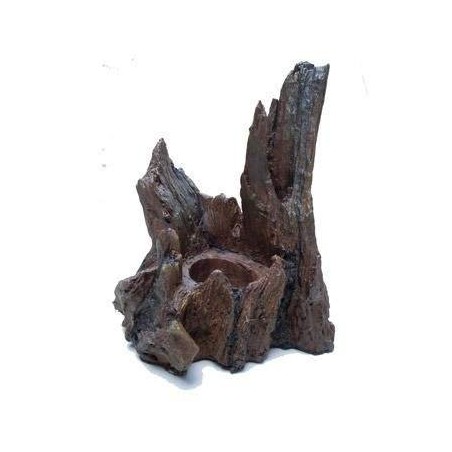 Worm Dish (Segura larvas)