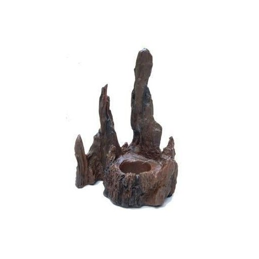 Worm Dish (Segura larvas)