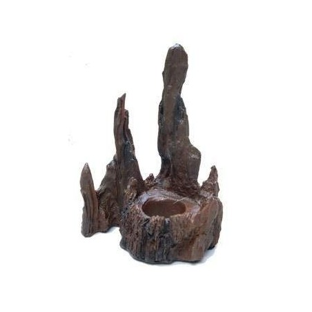 Worm Dish (Segura larvas)