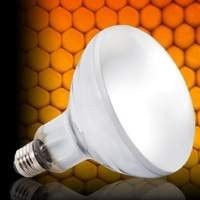 Iluminação para Répteis - Saúde e Bem-Estar Através da Luz Adequada!
