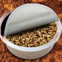 Nutrição e manejo para teiú: suplementos, vitaminas e substratos.
